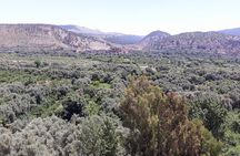 Marrakech Ourika & Agafay: Waterfalls Camels Quads &Desert Dining