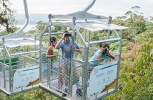 Arenal Volcano Skytram & Baldi Hot Springs Private Tour from San Jose