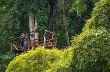 Canopy Zipline en la jungla desde Puerto Vallarta