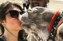 An Unforgettable Tour Pyramids, Sphinx and Grand Egyptian Museum