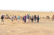 2 Days Desert Tour From Marrakech To Zagora