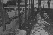 Bloody Brisbane Crime Tour by Coach - Crime Tours Australia