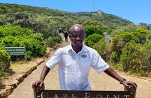  Cape of Good Hope & Penguins Boulder's Beach in Private Car 