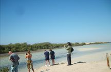 Gulf of Aqaba Snorkeling Tours