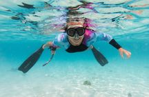 Private Half day REVOLVE Boat & Snorkeling tour in Bonaire