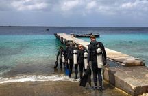 Small Group Diving experience in Caribbean 