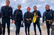Small Group Diving experience in Caribbean 