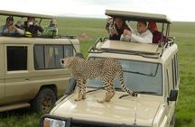 Private 4 Days Safari in Tarangire, Serengeti and Ngorongoro