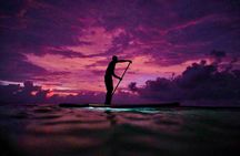 SUNSET GLOW Tour PaddleBoard