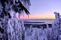Snowshoeing In Vancouver's Winter Wonderland