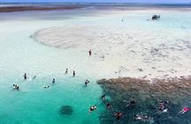 Kaneohe Sandbar Snorkeling Tour - 2nd Tour
