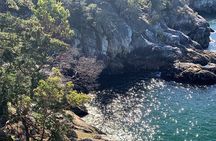  Half-day Hike and Bike Tour in Vancouver