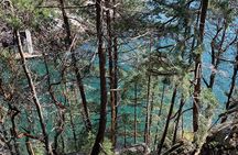  Half-day Hike and Bike Tour in Vancouver