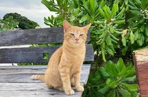 Khai Island From Phuket