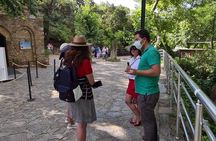 Great Ancient City Ephesus Full Day Small Group