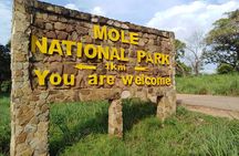 3 Days Elephants Safari at Mole Park with Round - trip flights