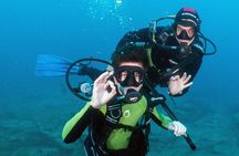 Try Scuba Diving in a turtle area (boat)