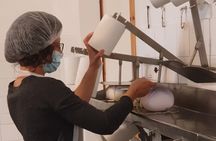 Small Group Cheese Making and Tasting from the Island of Baleares