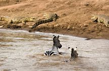 3 Days Safari Serengeti & Ngorongoro Crater