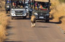 Discover the Pilanesberg with a personalized full day safari