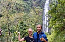Private Tour to Materuni waterfalls, coffee tour & Kikuletwa hot- springs