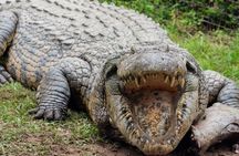 Isithumba Village and Phezulu safari Park Tour
