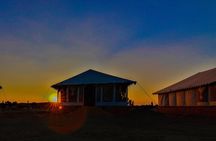Luxury Camping in the Desert
