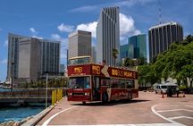 Best of Miami Combo: Everglades, Bay Cruise, & Open-top Bus Tour