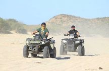 Cactus Tours ATV Desert & Beach Tour