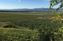 Kazanlak Full-Day Tour from Sofia