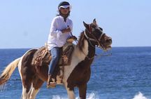 Beach & Desert Horseback Tour