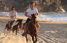 Sunset on the Beach Horseback Adventure