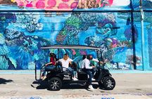 Wynwood Graffiti Golf Cart Small-Group Tour