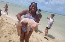 Swim with the Pigs and Explore Caves in Nassau
