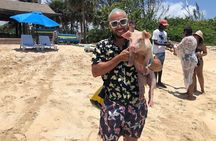 Swim with the Pigs and Explore Caves in Nassau