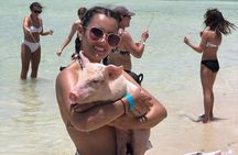 Swim with the Pigs and Explore Caves in Nassau