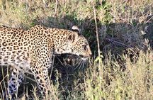 Day trip to Ngorongoro crater