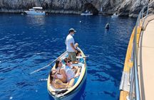 From Castellammare di Stabia: Capri Blue Grotto Boat Day Tour