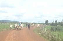  Banteay Chhmar Temple Private Tours - A Day Trip From Siem Reap 