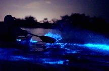 Clear Kayak Bioluminescence Tour - Cocoa Beach