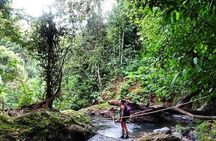 Full-Day Tour in Sirena and San Pedrillo with Lunch
