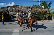Punta Cana Horseback Riding on the Beach