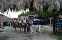 Punta Cana Horseback Riding on the Beach
