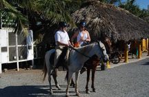 Punta Cana Horseback Riding on the Beach