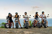 St.Lucia Beaches and Backroads Tour by Electric Big-Wheel Scooter