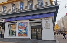 Zagreb Street Art Private Walking Tour with a Local Artist