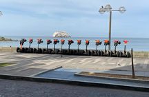 Old Town Mazatlan Segway Tour