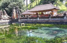 Highlight Ubud Temple, Rice Terrace including Waterfall