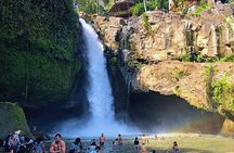 Highlight Ubud Temple, Rice Terrace including Waterfall