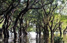 Kompong Phluk Village Tonle Sap Lake Half-Day Tour From Siem Reap
